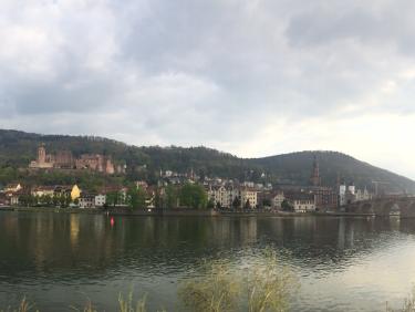 Heidelberg Skyline
